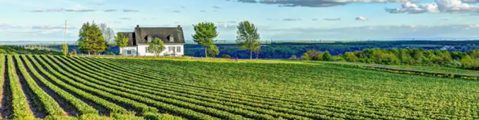 orleans panorama